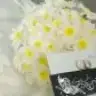 pinarpinarpinar