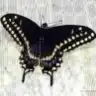 lilithse