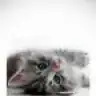 Angelasss