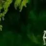 fseven