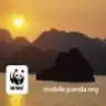 cayaz