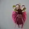 mimare
