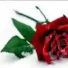 ugurlularim87