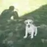 sercun