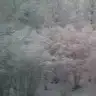 cazuuu
