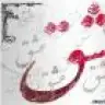 Busra_Zeyd