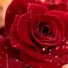 uzay78