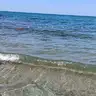 papatya00