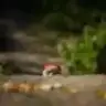 ZERO