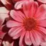 beren_89