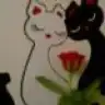 ysfebrrhatice