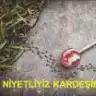 nartanem86