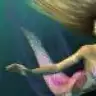 luzysombra