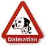 dalmatianlovers