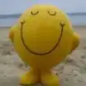 pirozi