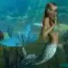 seabel