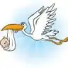 zeyzeynepce