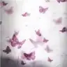 sunisup