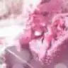 purelowe