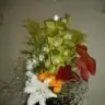 ben_begonya