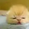 yasamak_