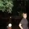 nasi
