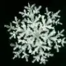 snowflake6467