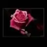 meltem_89