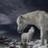 galimero