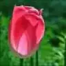 dilekk55