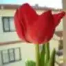smyrbc
