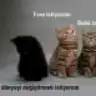 melimey