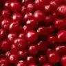 cranberry