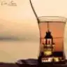Bolci