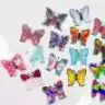 butterfly_0809