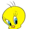 nazli2206