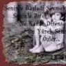 wunsch25