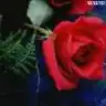 pimapenci