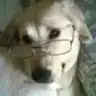 GoFRreT