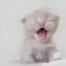yzygmru