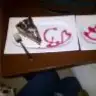 pudi