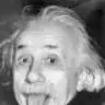 spoiler_bob