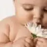 flz1aydn