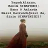 Tomrisece