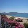 rosmai
