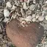 maybenotmaybe