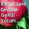 duyguseli