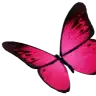 keleebek