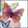 vistoso_flor