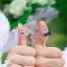 34_ozgem
